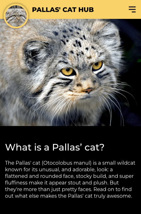 Pallas Cat Hub